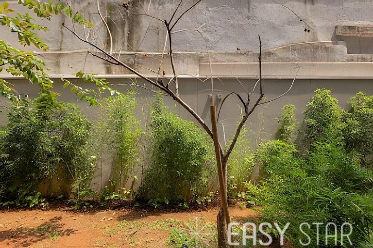 Easy Star - Encantador Estudio en Novo Brooklin - NZ01I